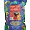 Vetafarm Macaw Nuts 2kg -Bird Food Sales Store 380b2fb83a63b27ebe9c429a1b7e39e3.image .225x271