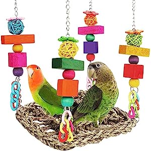 Bird Food Sales Store -Bird Food Sales Store 51P5HpTfEPL. AC SR300300