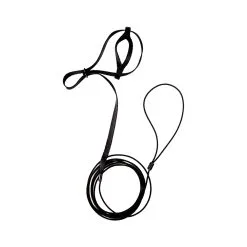 The Aviator Adjustable Safety Harness & Leash For Birds Black Mini 7 The Aviator Adjustable Safety Harness & Leash For Birds Black Mini -Bird Food Sales Store 95 0094 BK 2