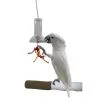 Featherland Paradise Foraging Capsule Bird Toy 48 X 11 X 11cm -Bird Food Sales Store 96 00612