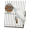 Featherland Paradise Paradise Foraging Wheel Bird Toy 17.5 X 15cm