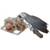 Featherland Paradise Foraging 4 Corners Cage Mount Bird Toy 21.5cm -Bird Food Sales Store 96 25722