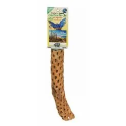 Pollys Pet Cholla Cactus Sun Dried Bird Perch Small 15cm -Bird Food Sales Store PS 0715
